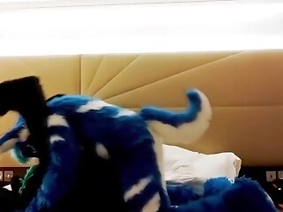 Fur Covered Romp Murrsuit Compilation Yell Two 57 Min